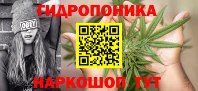дмт Гагарин