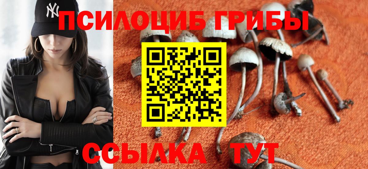 Полевской  Галлюциногенные грибы мицелий  Вход с VPN 